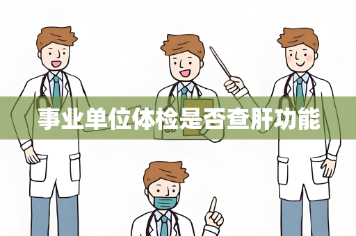 事业单位体检是否查肝功能