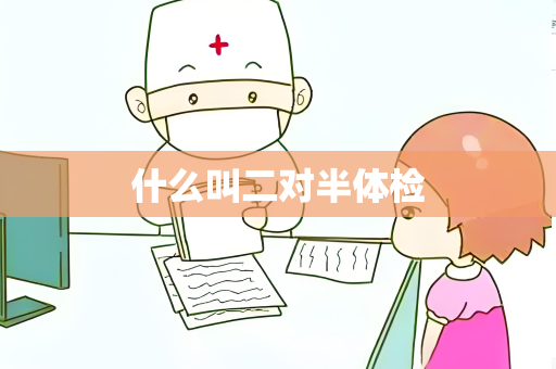 什么叫二对半体检