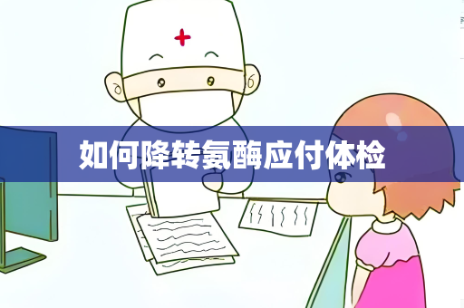 如何降转氨酶应付体检